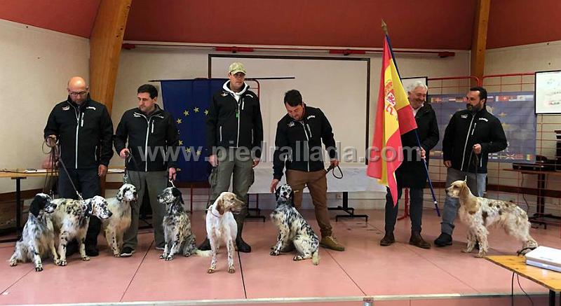 Cpto Europa 2018.jpg - Selección Española Campeonato Europa Settter 2018